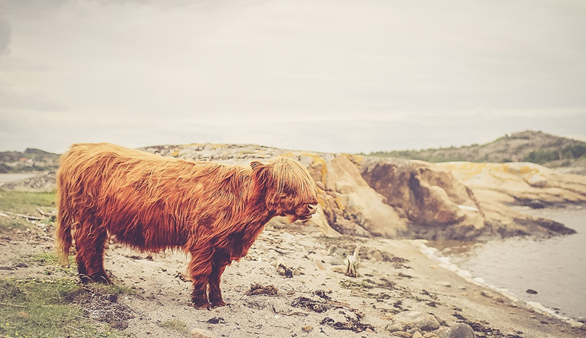 软件集市稳定的DDOS攻击测试
