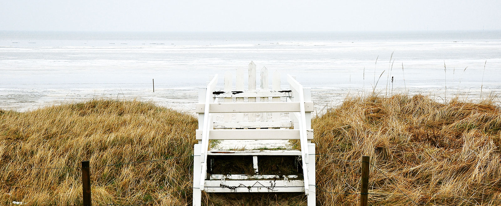 在线DDOS压力测试网页端