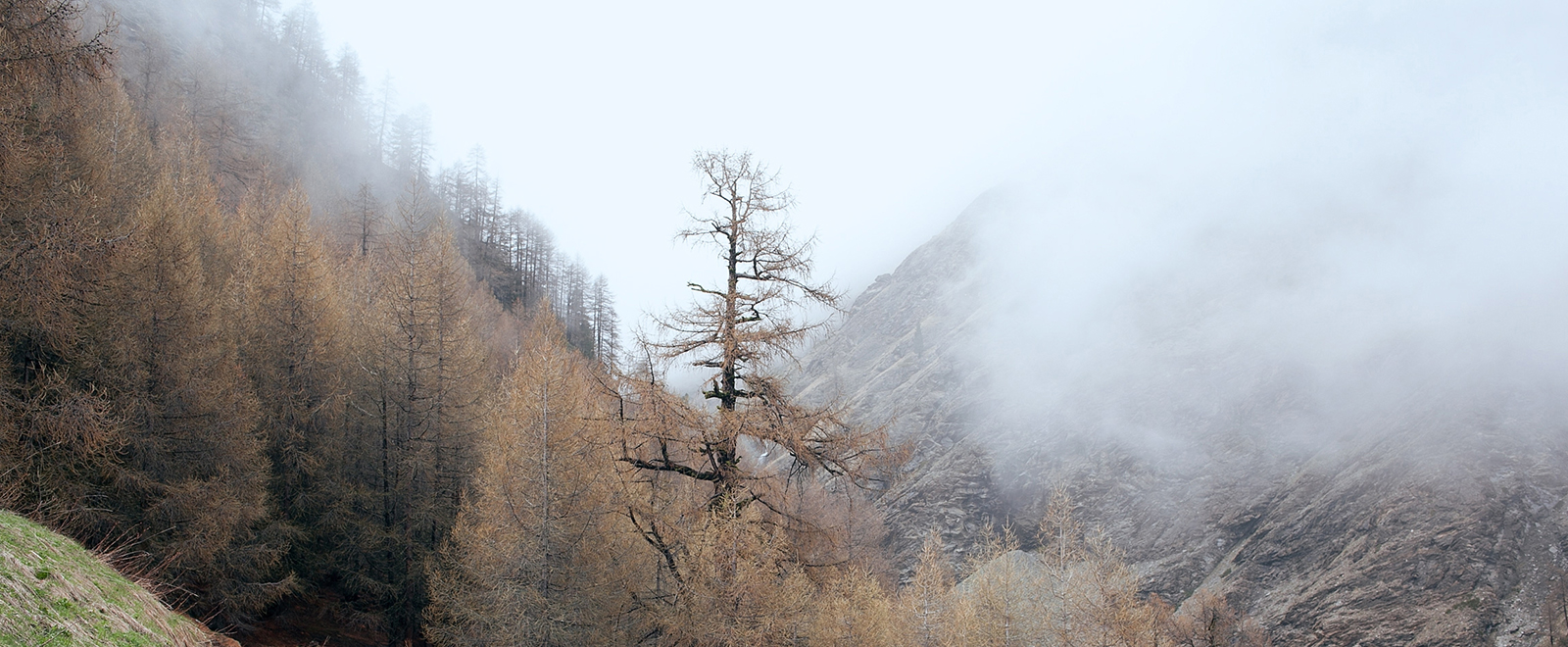 自助购买便捷的ddos攻击器安卓ios下载